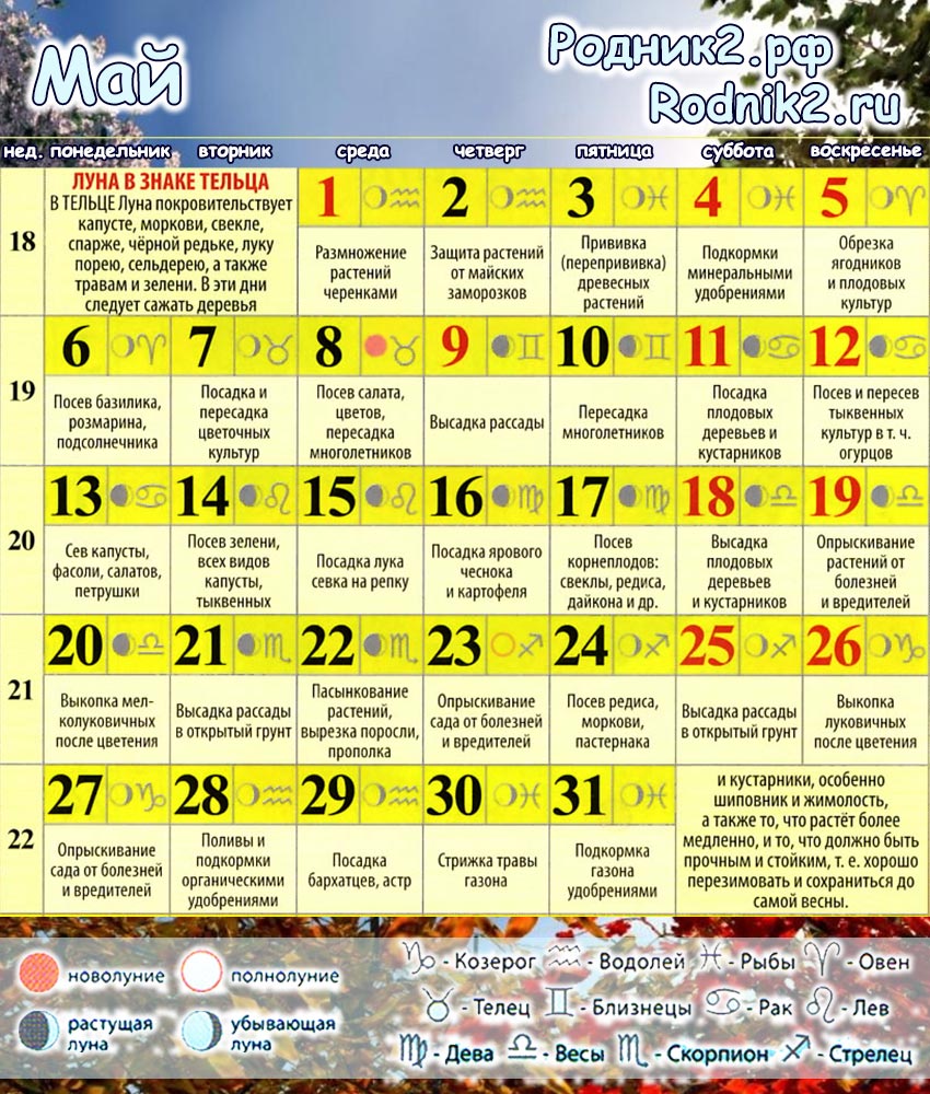 Лунный Календарь Для Начала Диеты