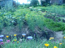 июль 2012 - Красота наших садов