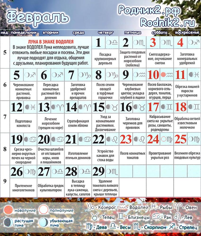 РОДНИК2: Лунный календарь садовода и огородника на февраль|Бердск