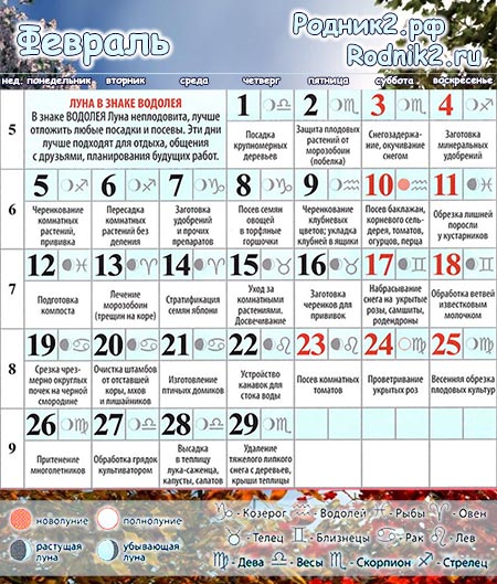  Лунный календарь садовода и огородника на февраль 2024 года