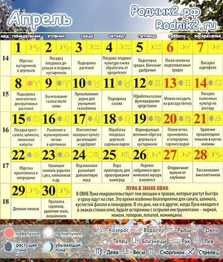  Лунный календарь садовода и огородника на апрель 2024 года