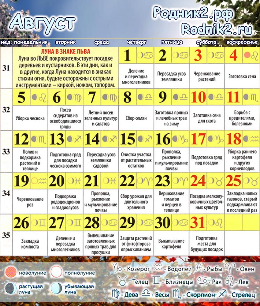РОДНИК2: Лунный календарь садовода и огородника на август|Бердск
