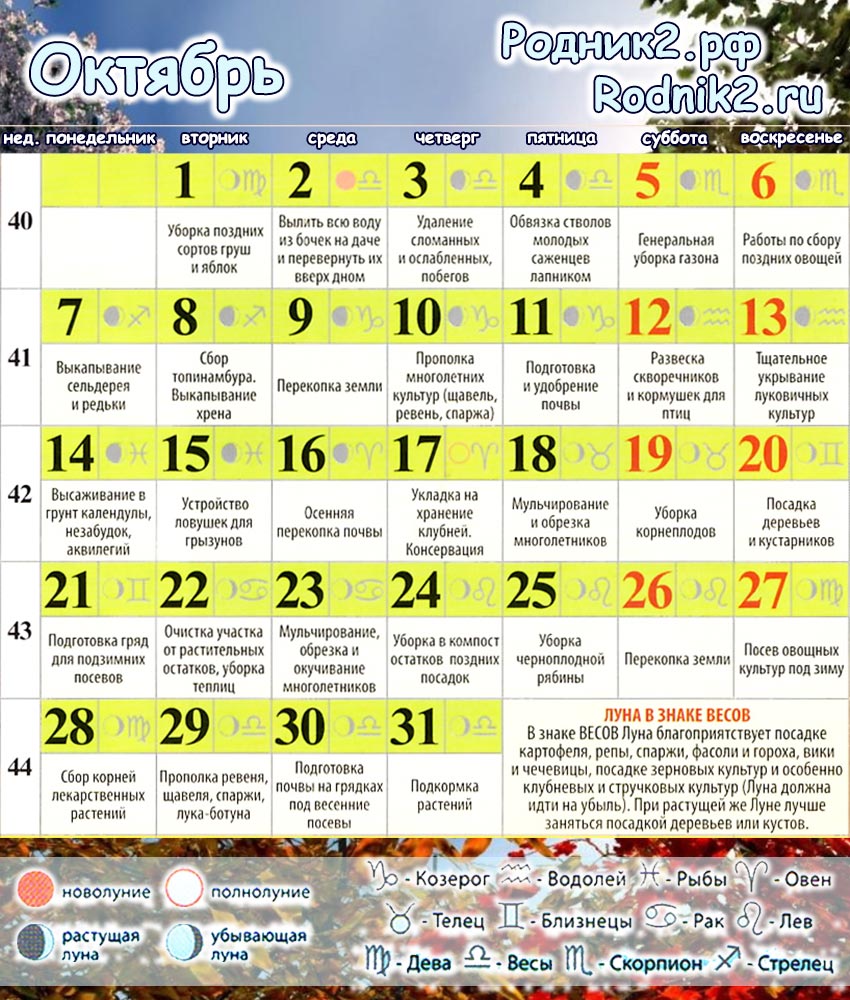 РОДНИК2: Лунный календарь садовода и огородника на октябрь|Бердск