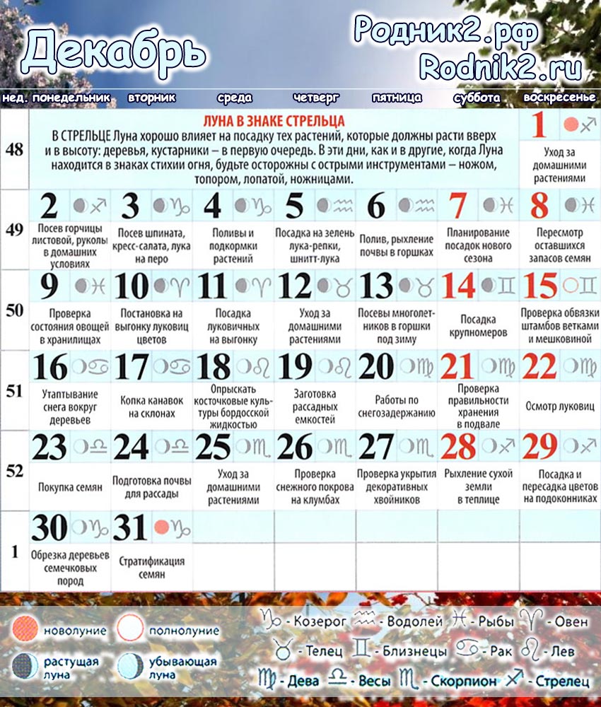 РОДНИК2: Лунный календарь садовода и огородника на декабрь|Бердск
