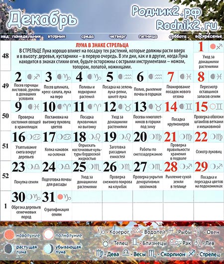  Лунный календарь садовода и огородника на декабрь 2023 года