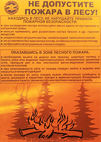 РОДНИК2.рф - Меры пожарной безопасности в лесу