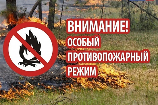 С 30 апреля по 10 мая 2021 года на территории Новосибирской области установлен особый противопожарный режим