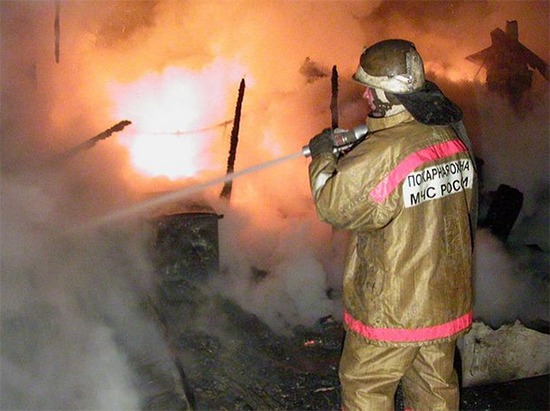 Выгорели два дачных участка в СНТ Родник-2 в Бердске в ночь на 1 мая 2021г