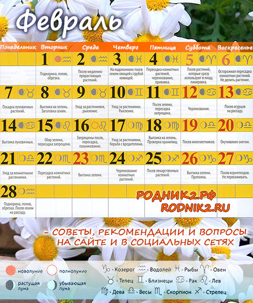 Лунный календарь садовода и огородника на 2022г